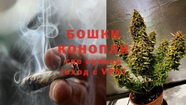 ECSTASY Богородск