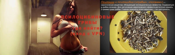 ECSTASY Богородск