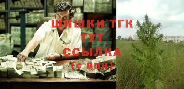 ECSTASY Богородск