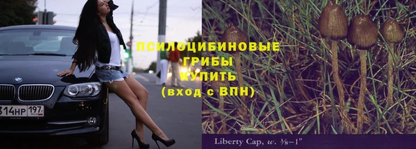 бутират Богородицк