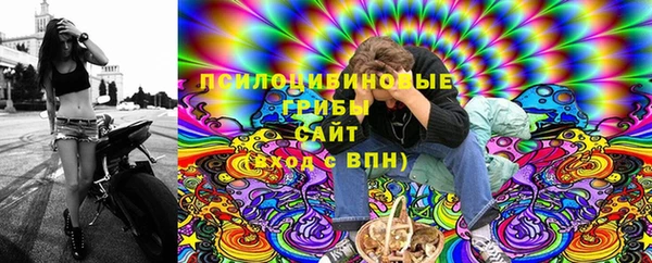 ECSTASY Богородск