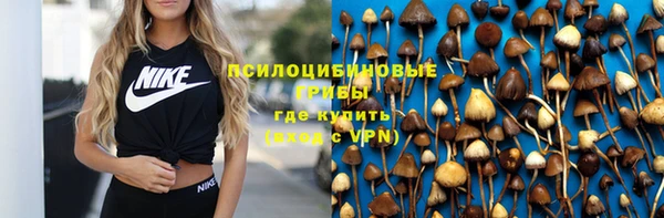 каннабис Богданович