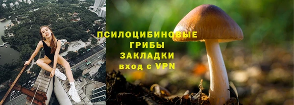 каннабис Богданович