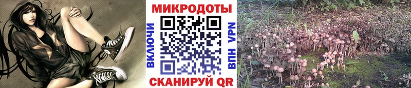 Псилоцибиновые грибы Psilocybine cubensis  Полесск 
